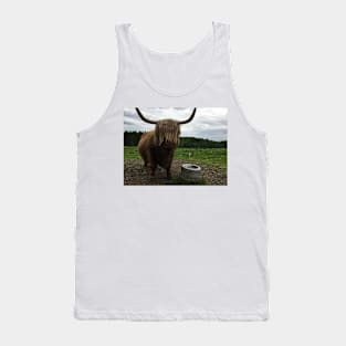 Scottish Highland Cattle Cow and Cat 2411 Tank Top